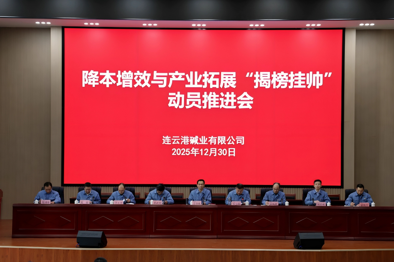 公司召開降本增效與產(chǎn)業(yè)拓展“揭榜掛帥”動員推進會 擂響2026年奮進戰(zhàn)鼓